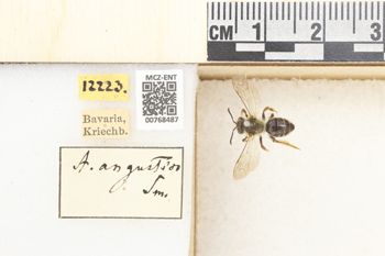 Media type: image;   Entomology 768487 Aspect: Labels